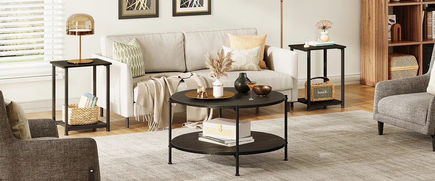 Modern Minimalist Living room